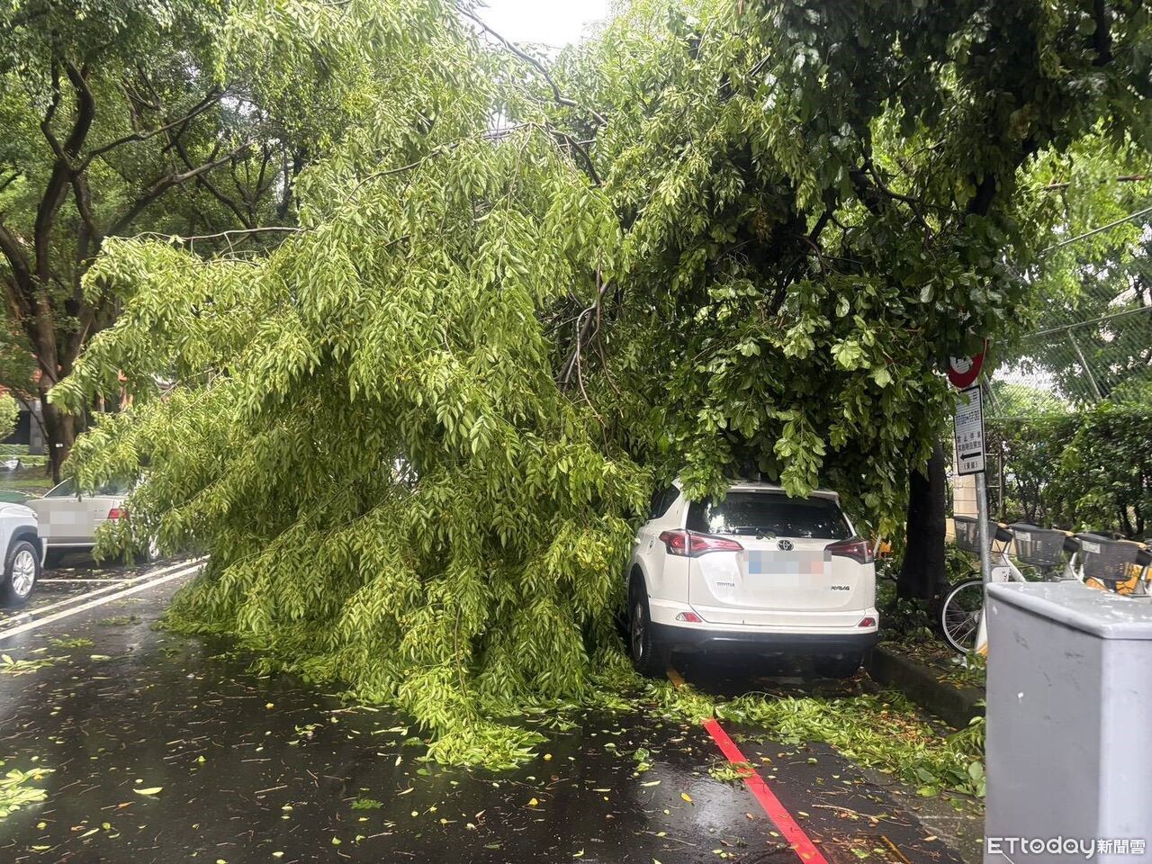 台中海線一度颳起10級陣風 多處路樹、號誌桿倒塌阻礙交通 | ETtoday社會新聞 | ETtoday新聞雲