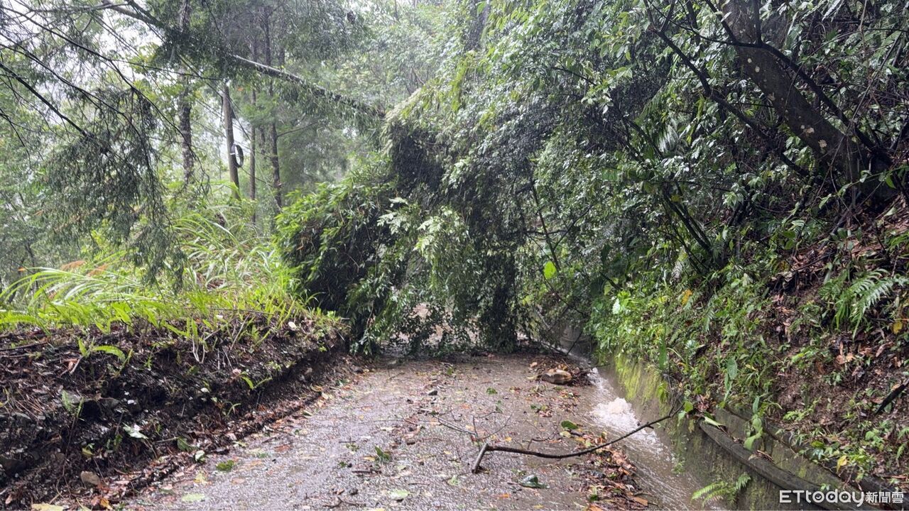 巴威造成南投縣1413戶停電 台電總動員冒雨搶修陸續復電 | ETtoday生活新聞 | ETtoday新聞雲