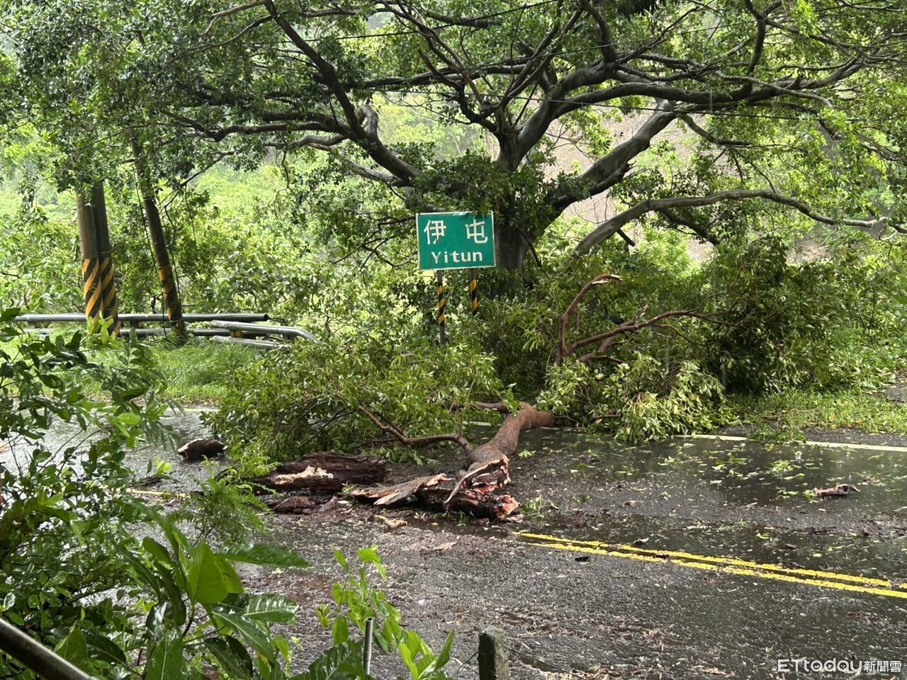 巴威颱風颳倒6米路樹!台9線慘被封路 枋寮警冒雨交管 | ETtoday社會新聞 | ETtoday新聞雲