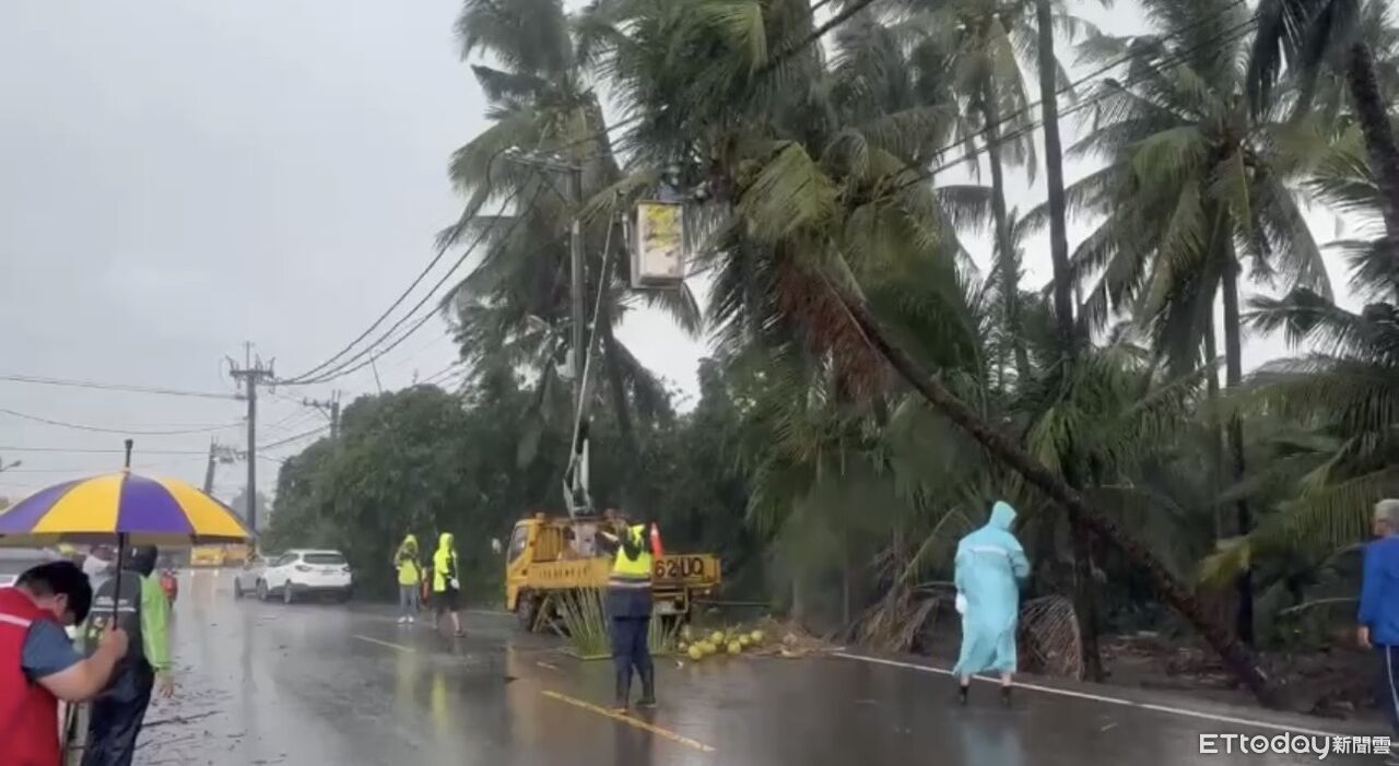 巴威吹倒椰子樹壓電線!鄉公所緊急鋸樹 3小時搶通道路 | ETtoday社會新聞 | ETtoday新聞雲