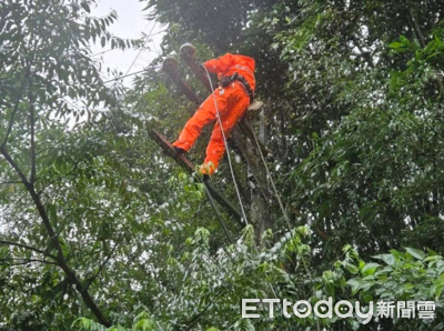 巴威釀南投逾5000戶停電!台電扮蜘蛛人...挺進山區拚10點復電
