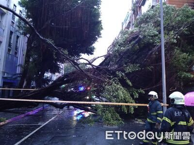 快訊/巴威強風「北市路樹倒塌」!壓毀6機車、屋簷 現場緊急封鎖