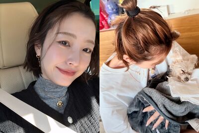 愛犬過世前出國遭炎上！　日女星揭原因回嗆酸民：太愛我了吧