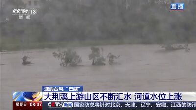 巴威登陸浙江 溪水上漲淹過樹、山崩大量落石