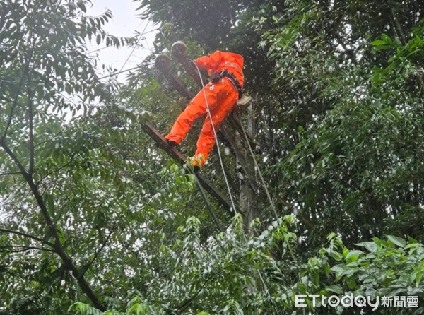 ▲台電人員冒雨挺進仁愛鄉萬豐村，搏命攀高搶修復電。（圖／台電南投區處提供，下同）