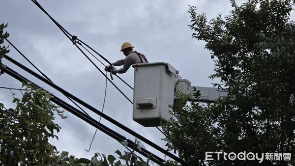▲台電屏東區處人員搶修線路。（圖／台電屏東區處提供）