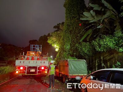 北市文山區路樹倒塌壓2車 轄區警、公燈處人員徹夜排除