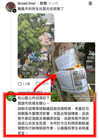 ▲北市公園處駁斥亂砍樹。（圖／公園處提供）