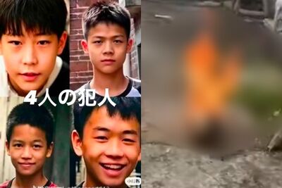 廣東4名小六生「虐死4隻浪浪」 火燒狗媽媽還用棍棒打死幼犬