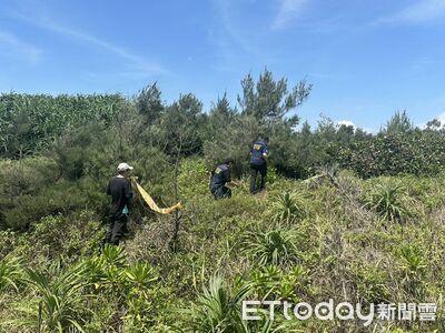 宜蘭「海岸盪鞦韆」驚見腐屍！遊客循臭味發現嚇壞　疑遭野狗啃咬