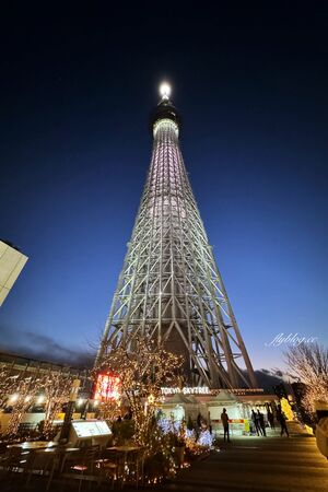 ▲▼ 東京景點。（圖／部落客飛天璇的口袋授權提供）