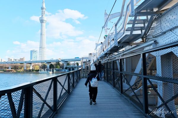 ▲▼ 東京景點。（圖／部落客飛天璇的口袋授權提供）