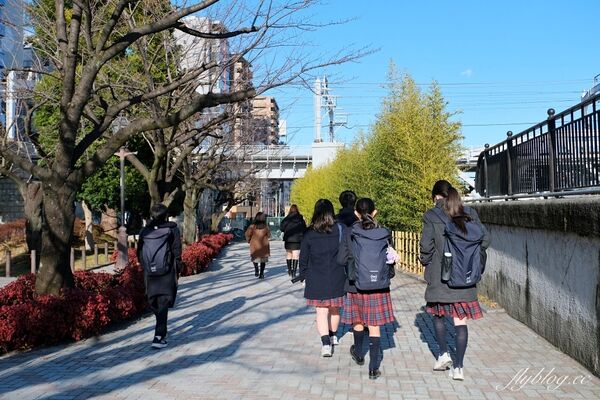 ▲▼ 東京景點。（圖／部落客飛天璇的口袋授權提供）