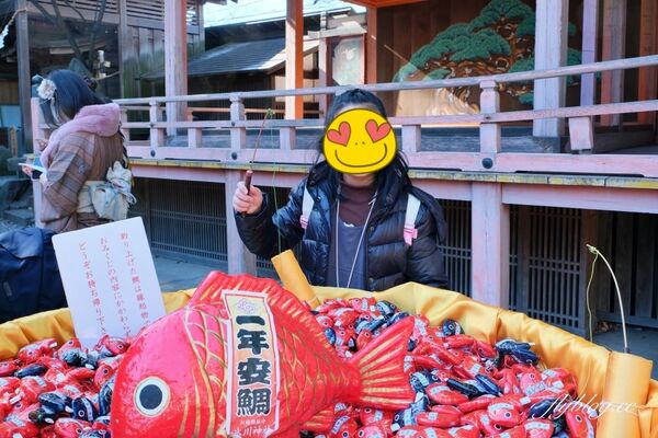 ▲▼東京景點。（圖／部落客飛天璇的口袋授權提供）