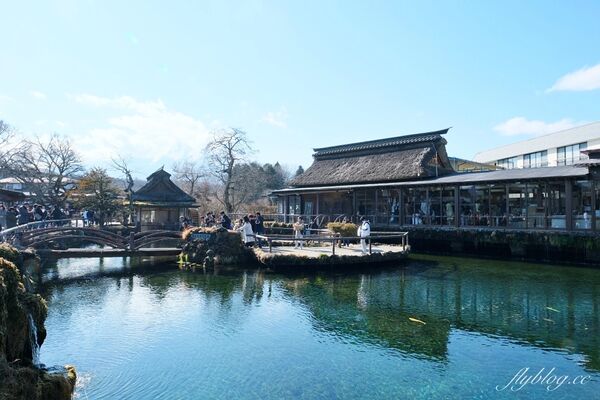 ▲▼東京景點。（圖／部落客飛天璇的口袋授權提供）