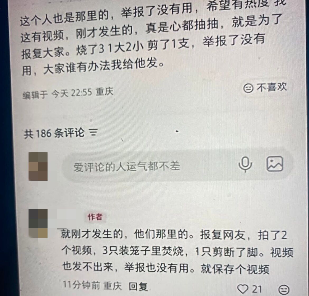 ▲。（圖／翻攝自小紅書）