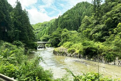 七成面積是山林！九州大分7種消暑玩法