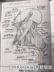 12歲童畫「人體解剖圖」賺零用錢 《進擊的巨人》畫風萬人朝聖