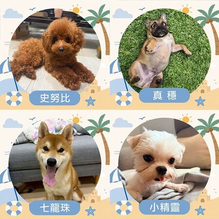 ▲。（圖／東森寵物提供，下同）