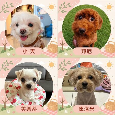 ▲。（圖／東森寵物提供，下同）