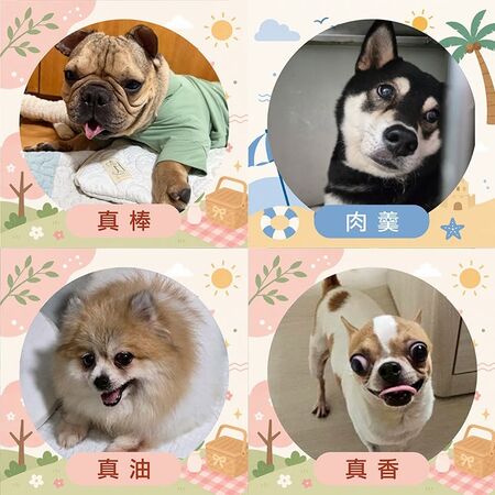 ▲。（圖／東森寵物提供，下同）