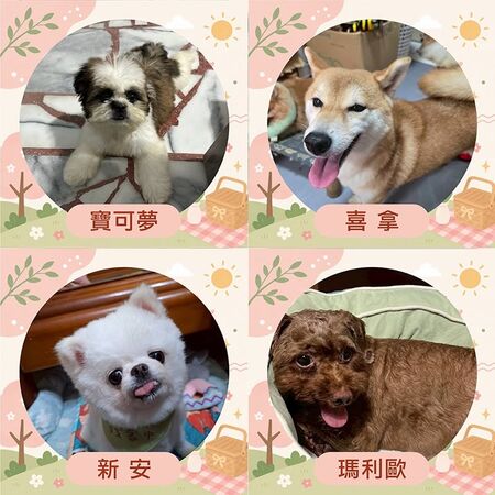 ▲。（圖／東森寵物提供，下同）