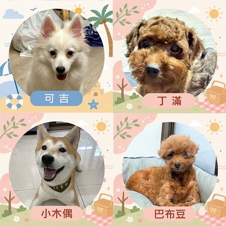 ▲。（圖／東森寵物提供，下同）