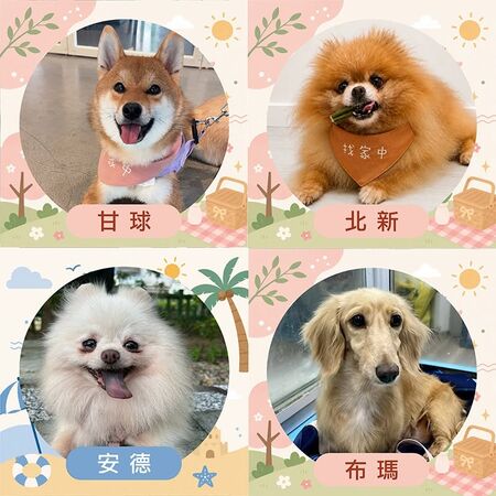 ▲。（圖／東森寵物提供，下同）