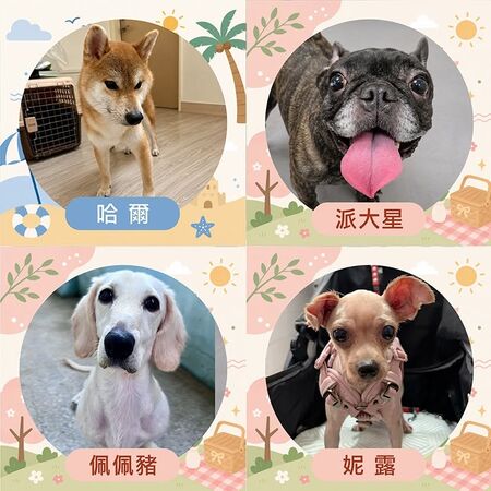 ▲。（圖／東森寵物提供，下同）