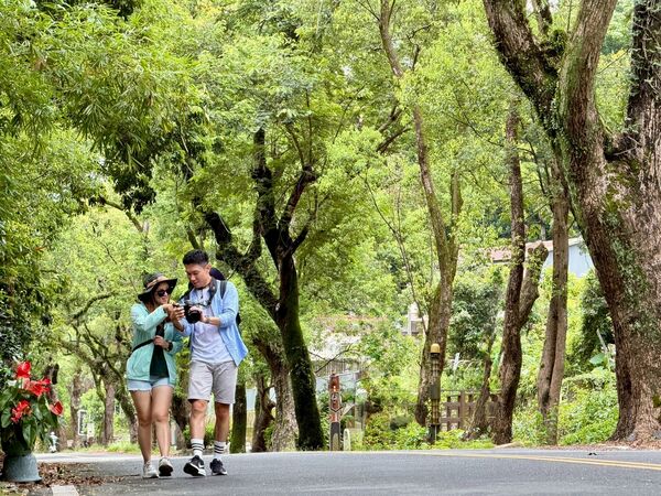 ▲▼福容徠旅水里推「住一晚、玩整條集集線」住房專案。（圖／業者提供）