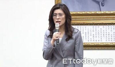 藍725凱道大會傍晚登場　鄭麗文：蔣萬安來之前大家就有共同想法
