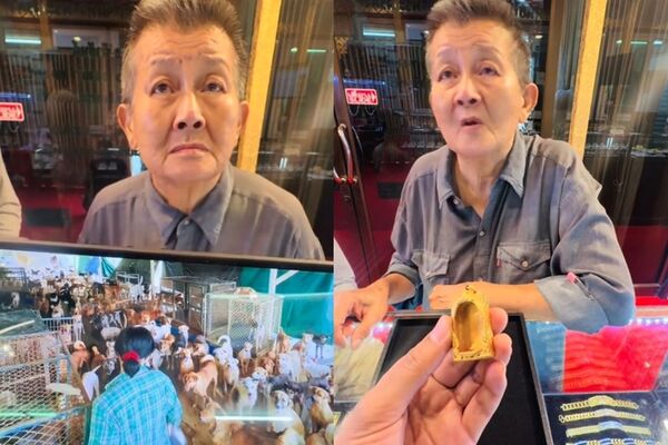 曾經坐擁數億泰銖身家的泰國「流浪動物天使」蒂姆阿嬤，將珍藏多年的黃金佛牌框送進珠寶店熔解變賣，只為籌措照顧1700多隻流浪貓狗的飼料與醫療費。（翻攝自＠tiktok）