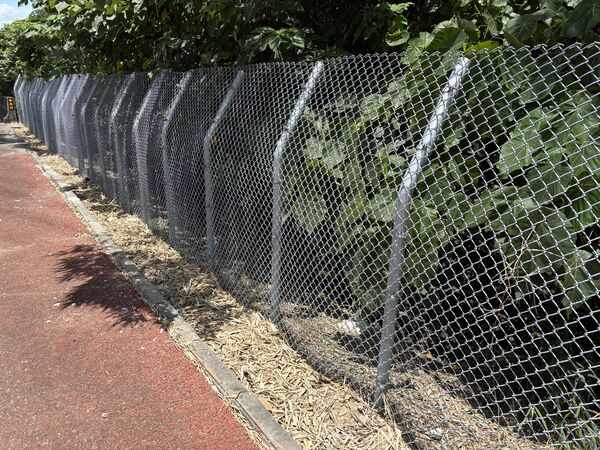 ▲東外環石虎防護網完工啟用。（圖／彰化工務段提供）
