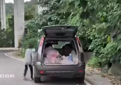 八卦山頻傳浪犬攻擊!餵狗愛媽嗆「我在解決問題」 民眾氣瘋 | ETtoday社會新聞 | ETtoday新聞雲