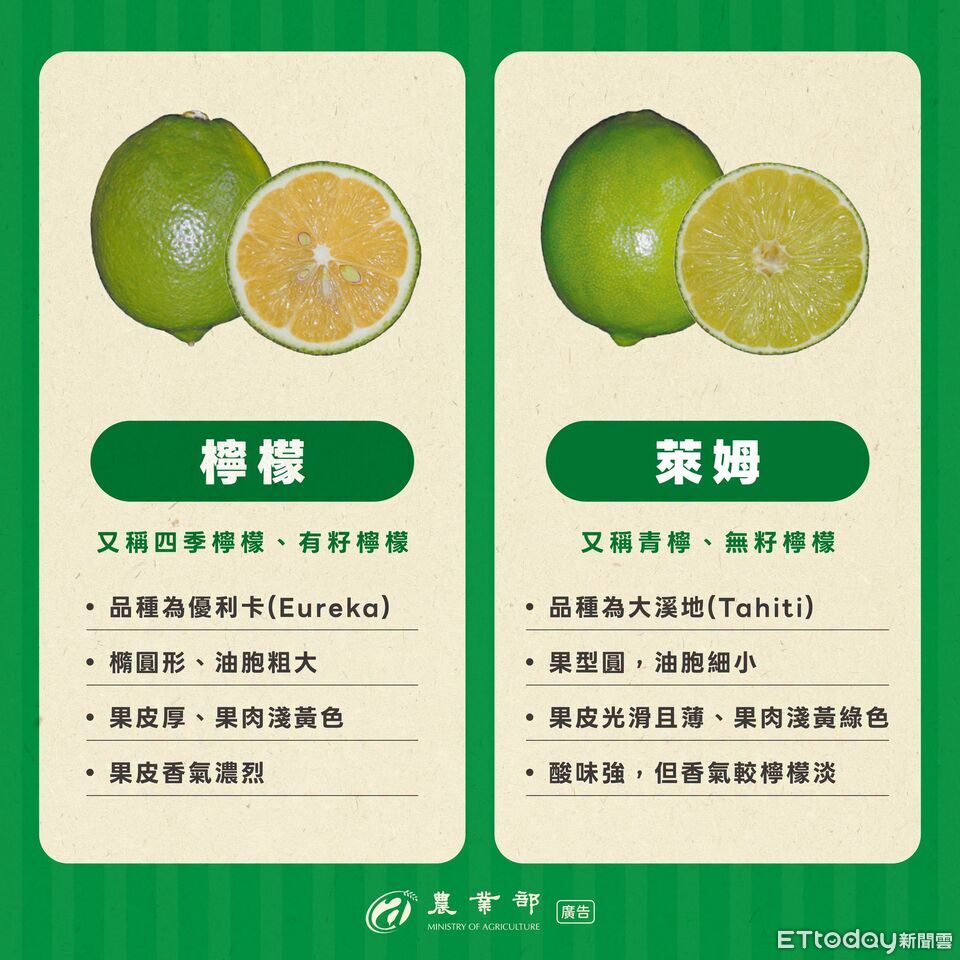 3招分辨「檸檬、萊姆」 農業部圖解台灣4大特色品種 | ETtoday生活新聞 | ETtoday新聞雲