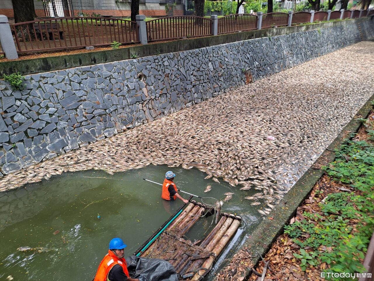 駭人畫面曝!高雄後勁溪成「魚屍地獄」 水利局急撈300kg揭原因 | ETtoday社會新聞 | ETtoday新聞雲