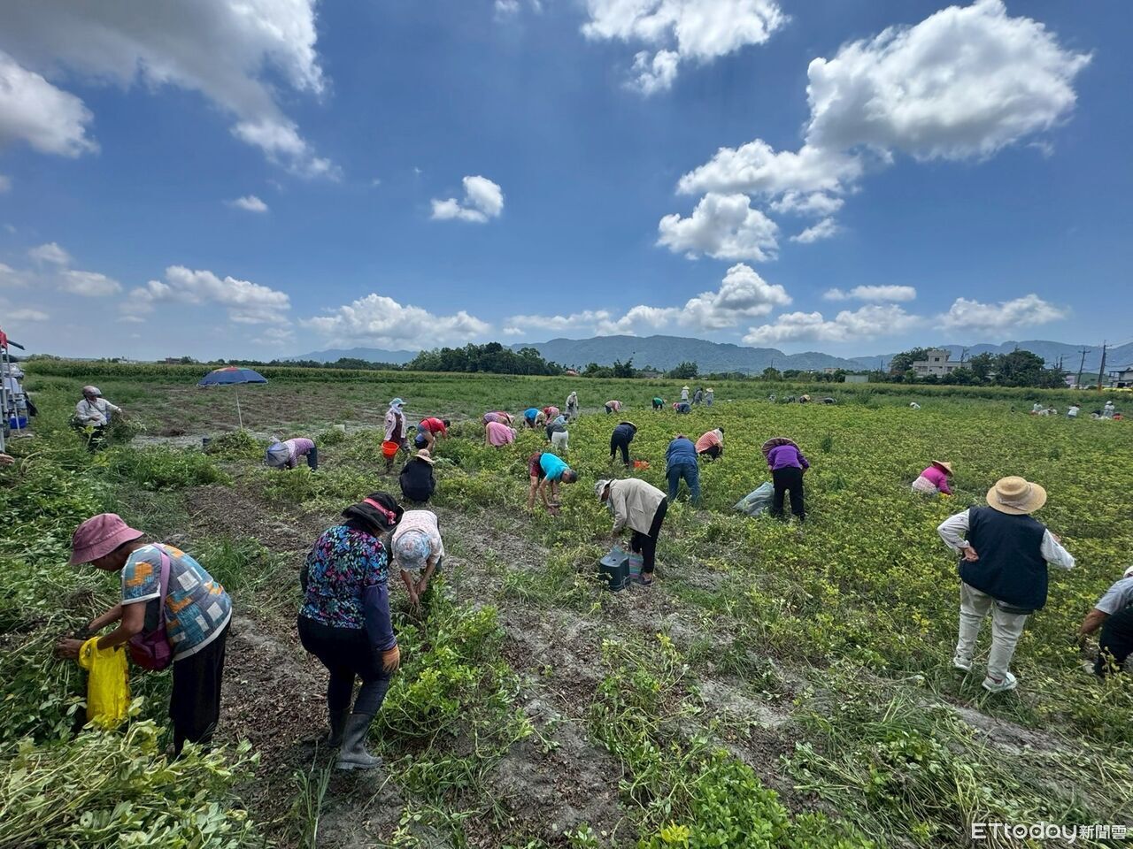 慢城「好事花生」!鳳林花生節產業結合食農教育 展現多元魅力 | ETtoday地方新聞 | ETtoday新聞雲