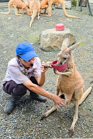 ▲▼宜蘭蘭陽動植物王國。（圖／史努比遊樂園授權提供）