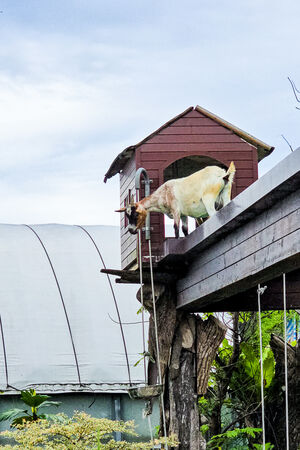 ▲▼宜蘭蘭陽動植物王國。（圖／史努比遊樂園授權提供）