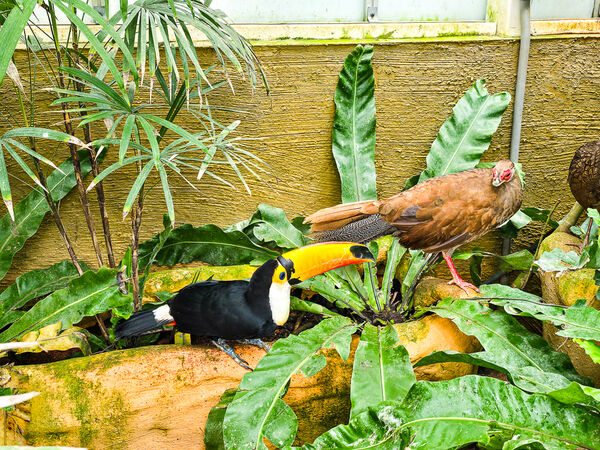 ▲▼宜蘭蘭陽動植物王國。（圖／史努比遊樂園授權提供）
