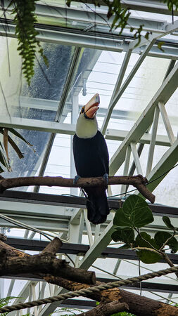 ▲▼宜蘭蘭陽動植物王國。（圖／史努比遊樂園授權提供）