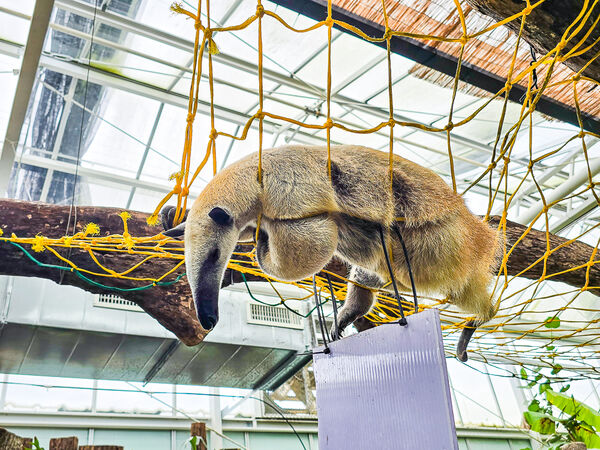 ▲▼宜蘭蘭陽動植物王國。（圖／史努比遊樂園授權提供）