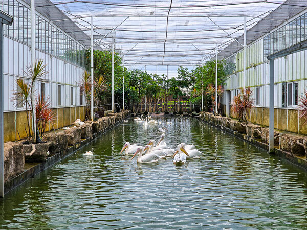 ▲▼宜蘭蘭陽動植物王國。（圖／史努比遊樂園授權提供）