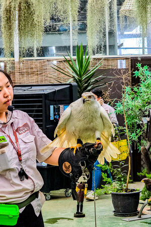 ▲▼宜蘭蘭陽動植物王國。（圖／史努比遊樂園授權提供）