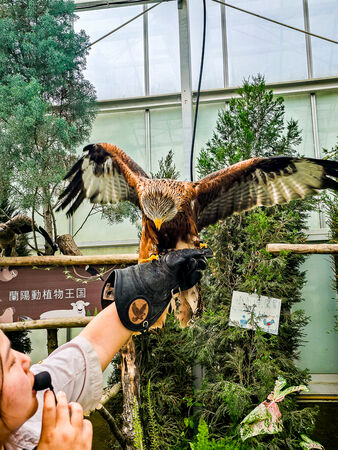 ▲▼宜蘭蘭陽動植物王國。（圖／史努比遊樂園授權提供）