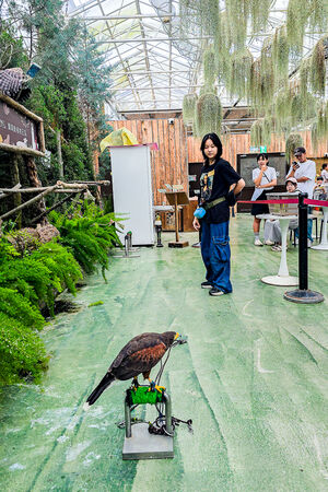 ▲▼宜蘭蘭陽動植物王國。（圖／史努比遊樂園授權提供）