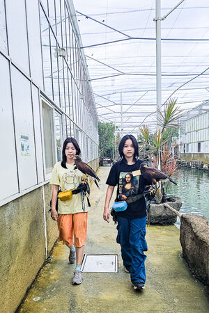 ▲▼宜蘭蘭陽動植物王國。（圖／史努比遊樂園授權提供）