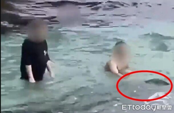 伸手摸海龜全被拍!海巡小琉球花瓶岩逮2男 最重罰30萬 | ETtoday社會新聞 | ETtoday新聞雲