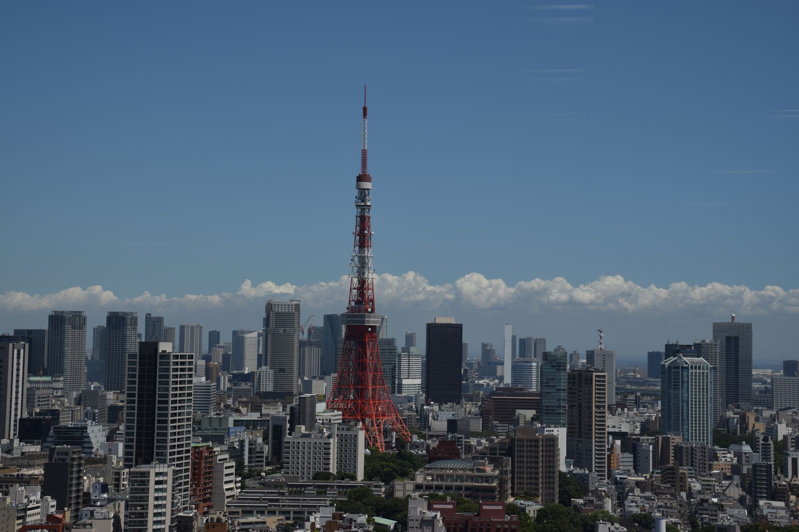 547人確診！日本麻疹創6年新高　東京：疑訪日外國旅客成病毒來源