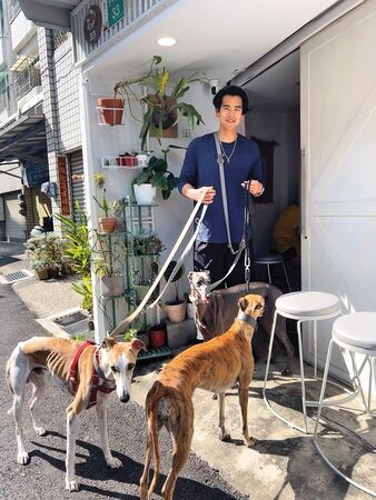 新作遇寒冬／獨家！《梅英》什麼地雷都踩中　彭于晏3度合作許鞍華卡關